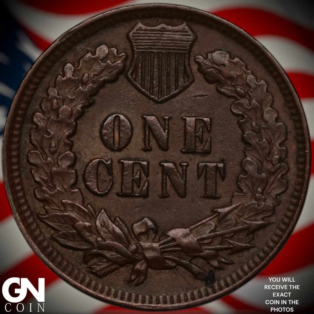 1899 Indian Head Cent Penny Z8597