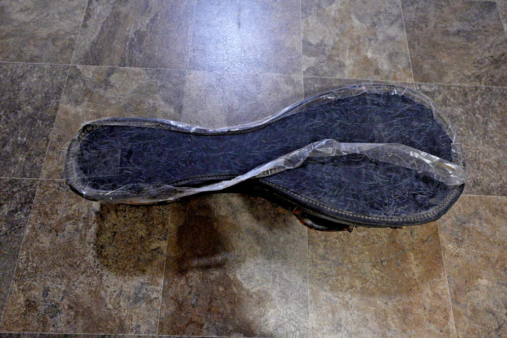 Vintage Silvertone Mandolin -