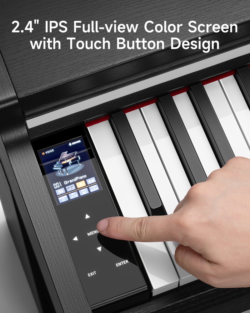 Donner DDP-200 Pro Digital Piano 88 Key Graded Hammer Action Touch Screen Module