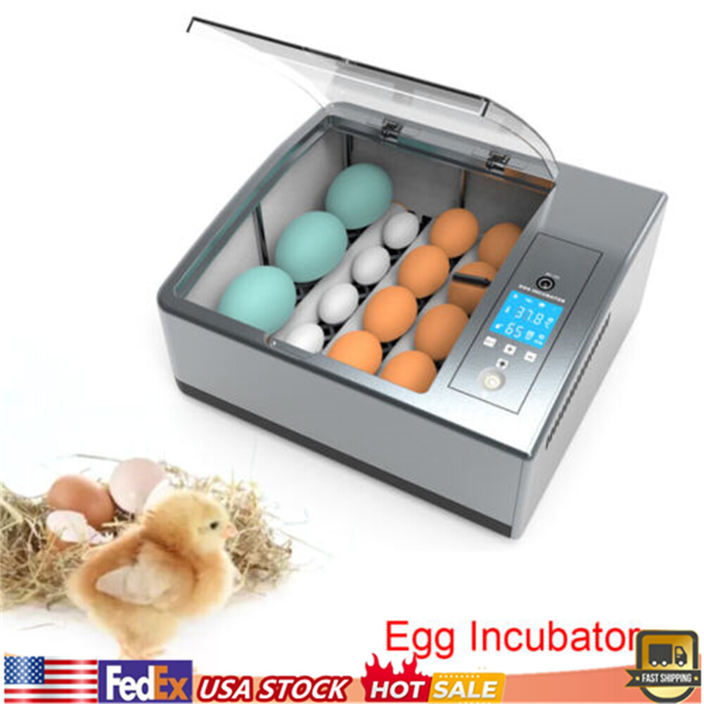 Double-power 16PCS Eggs Automatic Smart Incubator Hatcher w/Temp Control Turning