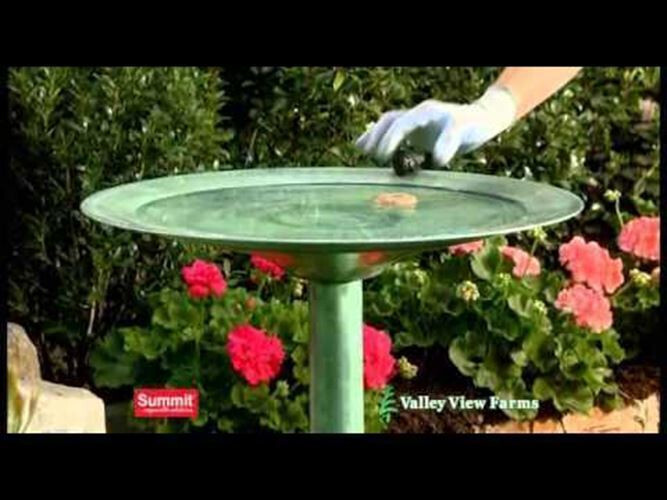 60 Summit BTI Mosquito Control Dunks Bactimous ~ Kill Mosquitoes & Larvae
