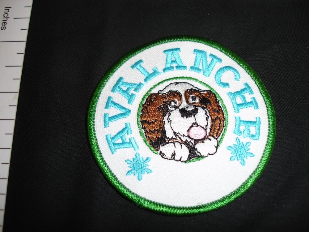 Skiing patch vintage ski patch