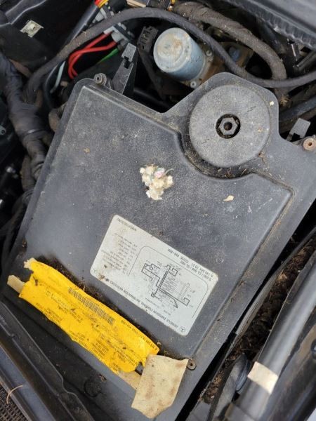 SL600 1998 Front Door Switch 558920