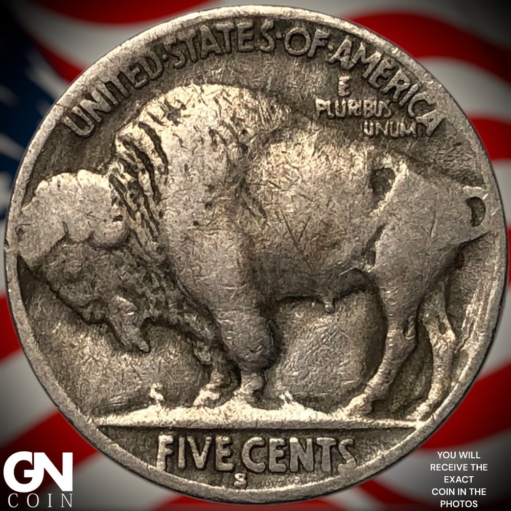 1919 S Buffalo Nickel Y8162