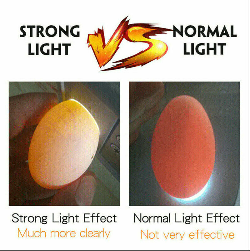 Automatic Egg Incubator for Hatching Eggs 12 Eggs Incubator Automatic Egg Turn