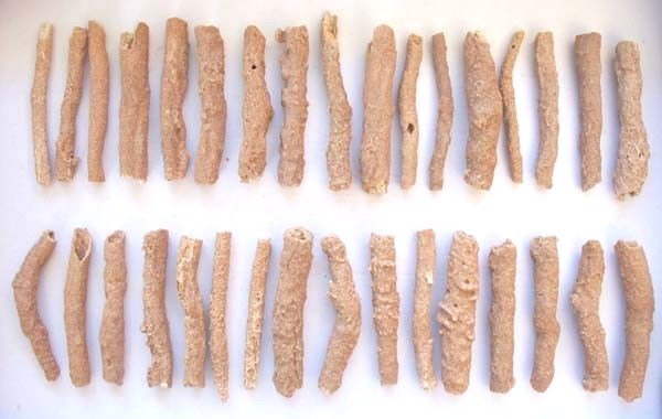 FULGURITE Morocco 3.3" Only $16 each! FOSSILIZED LIGHTNING!