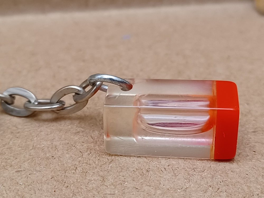 Fish Specimen Acrylic Encased Keychain