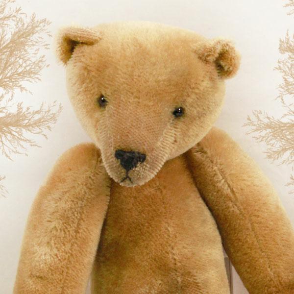 Ben by Hannelore Daab for Cooperstown Bears