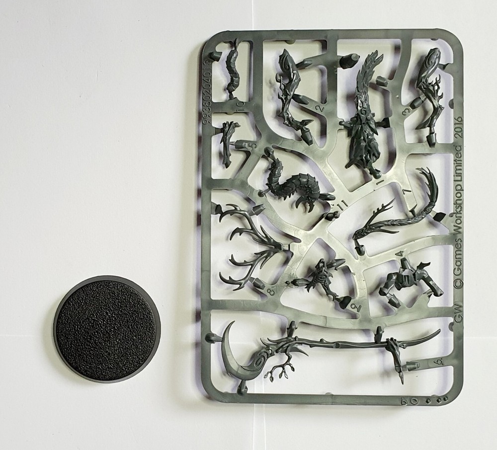 Branchwych - Sylvaneth - AOS SB 46