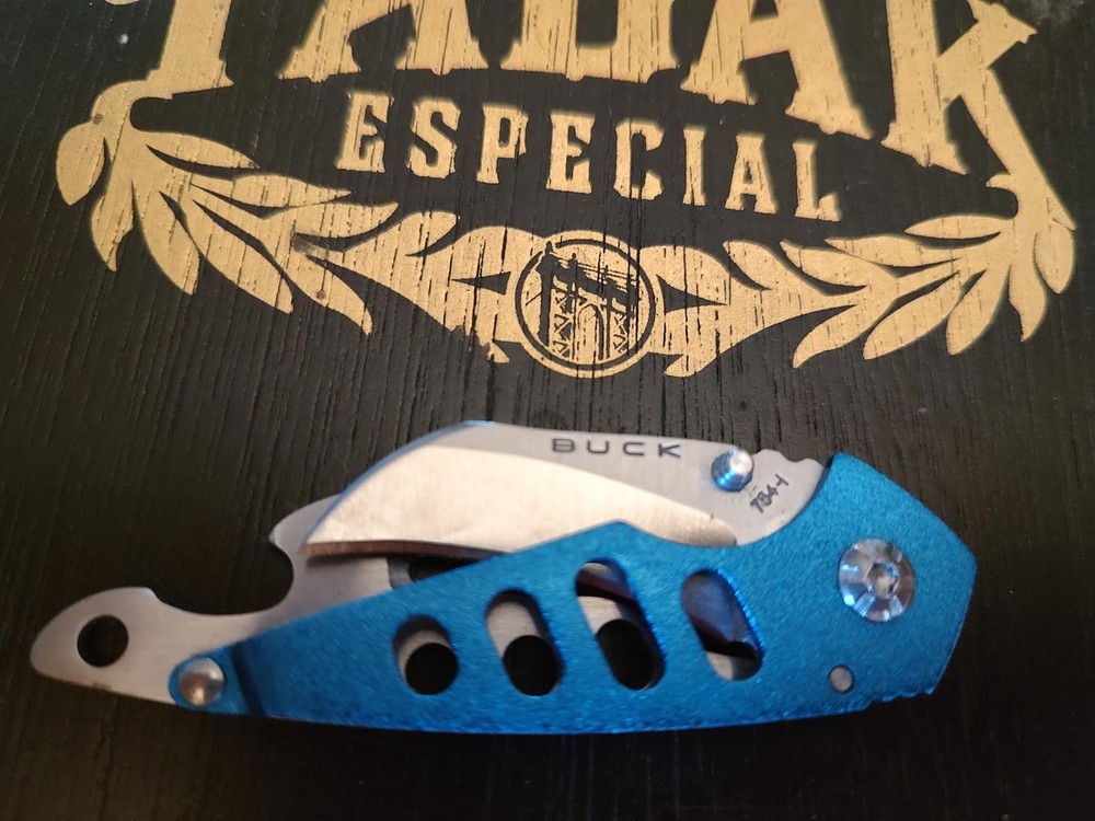 Buck Folding Pocket Knife with Blue Handle