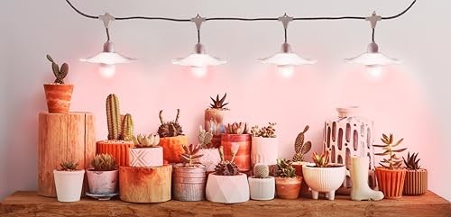 Grow with Elegance 4-Socket & White Shade (6.5KK Red Spectrum Edition)