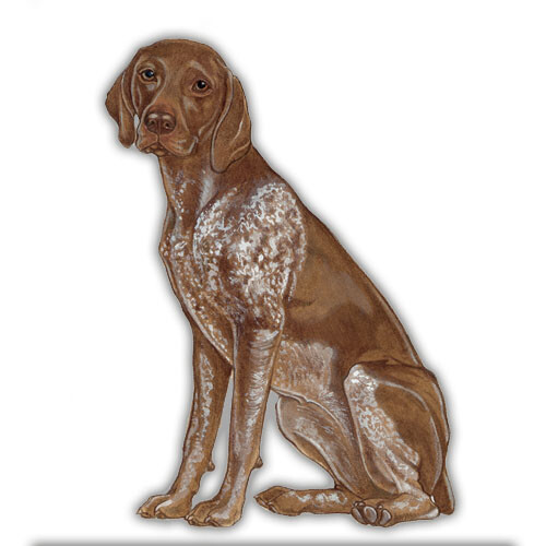 German Pointer Magnet Wooden