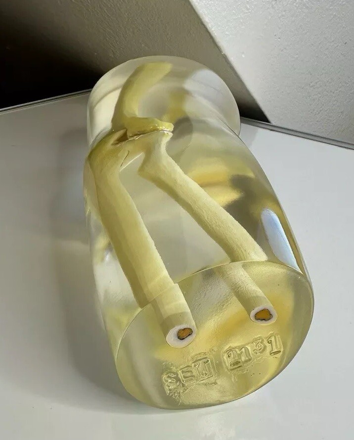 RSD Phantoms Natural Transparent Mannequin Elbow (Testing & Calibration)