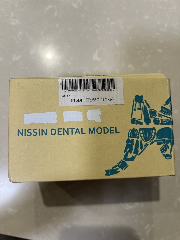Dental Model