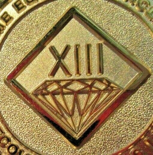 Narcotics Anonymous NA GOLD 13 Year Medallion Chip Coin Token Sober