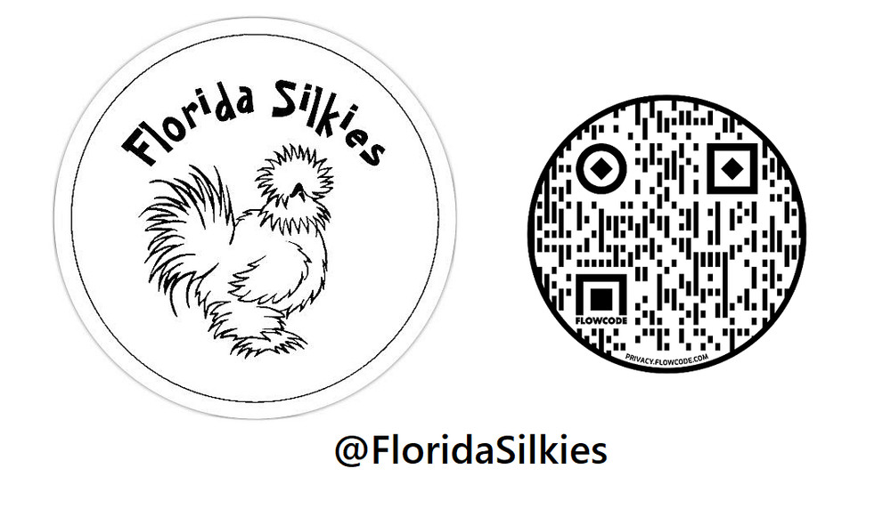 Silkie Hatching Eggs Assorted Colors (READ!) 4+