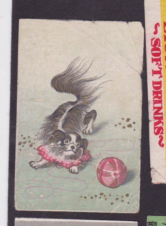 Old  Matchbox  label Japan BN33741 Dog
