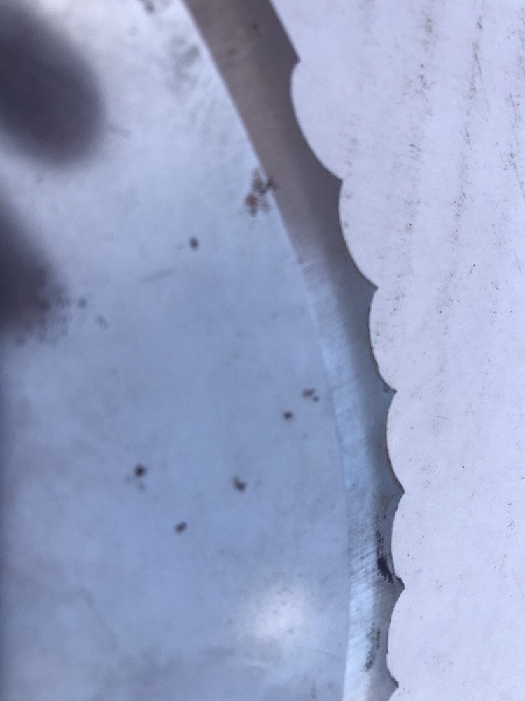Blade. Serrated S Blade For Robot Coupe