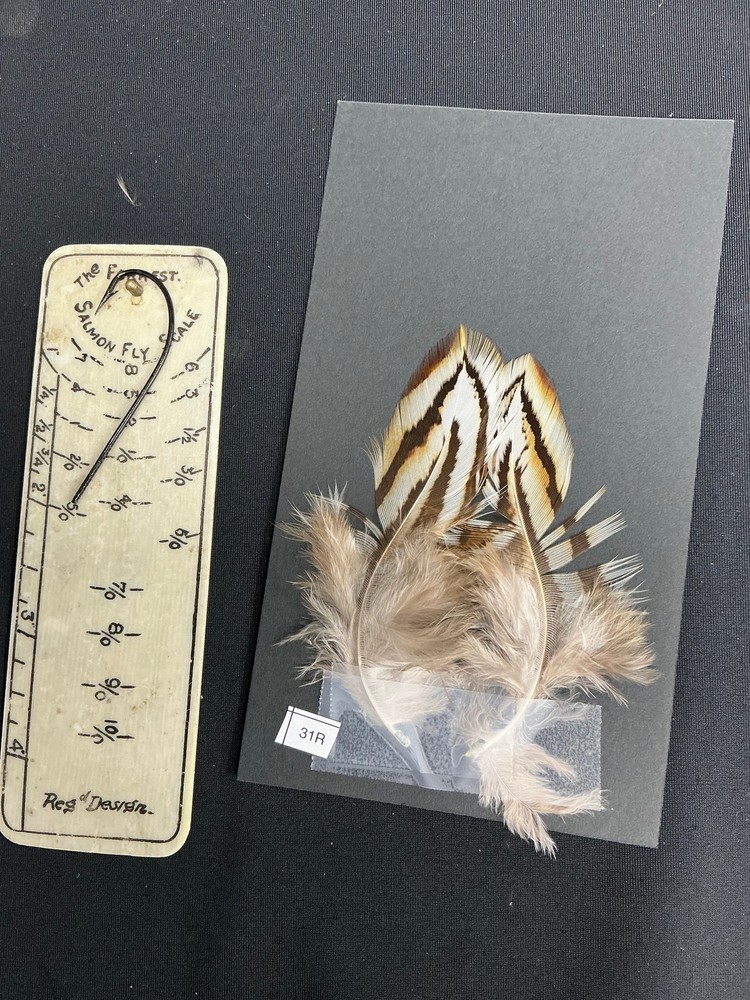 Hybrid Silver/Reeves Cross Pheasant feathers B