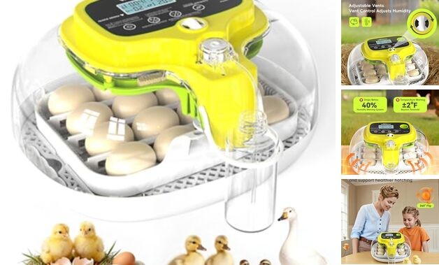 Incubators for Hatching Eggs, 16 Eggs Incubator with Auto Water Refill,