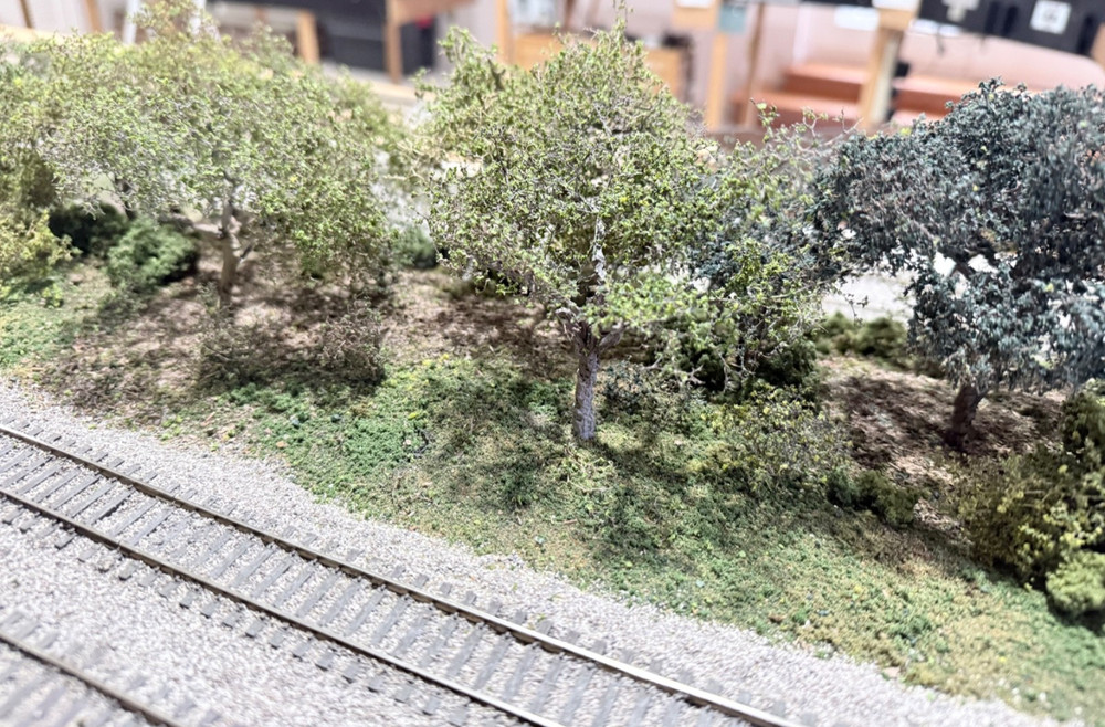Five Model Railroad Scenery Diorama & Foreground Quality Trees