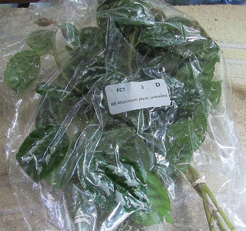 36 stems aluminum plants