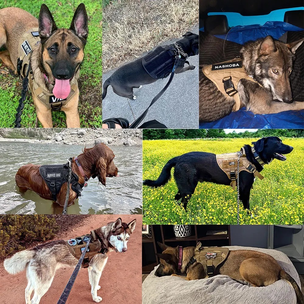 Large Dog Harness & Leash Set Training Walking Vest for German Shepherd