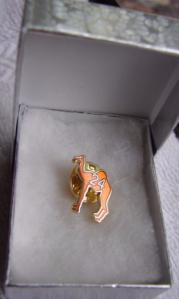Alcoholics Anonymous Camel AA Lapel Hat Vest Pin 24 hour Sober