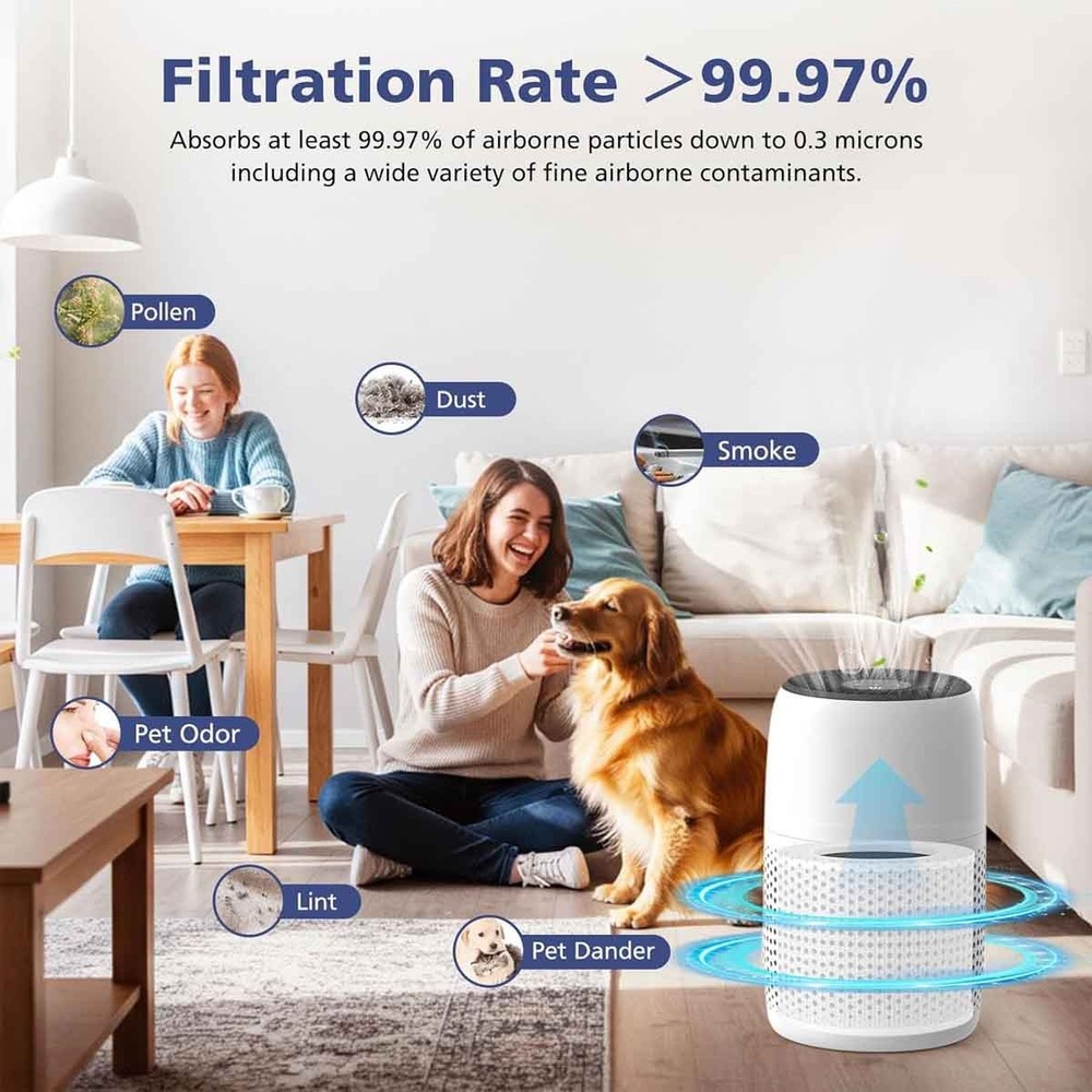 2 Pack True HEPA H13 Filters Replacement for Levoit Core Mini Air Purifier