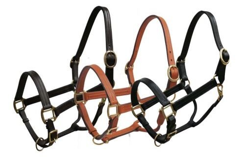 Leather Halter w/ Brass Hardware