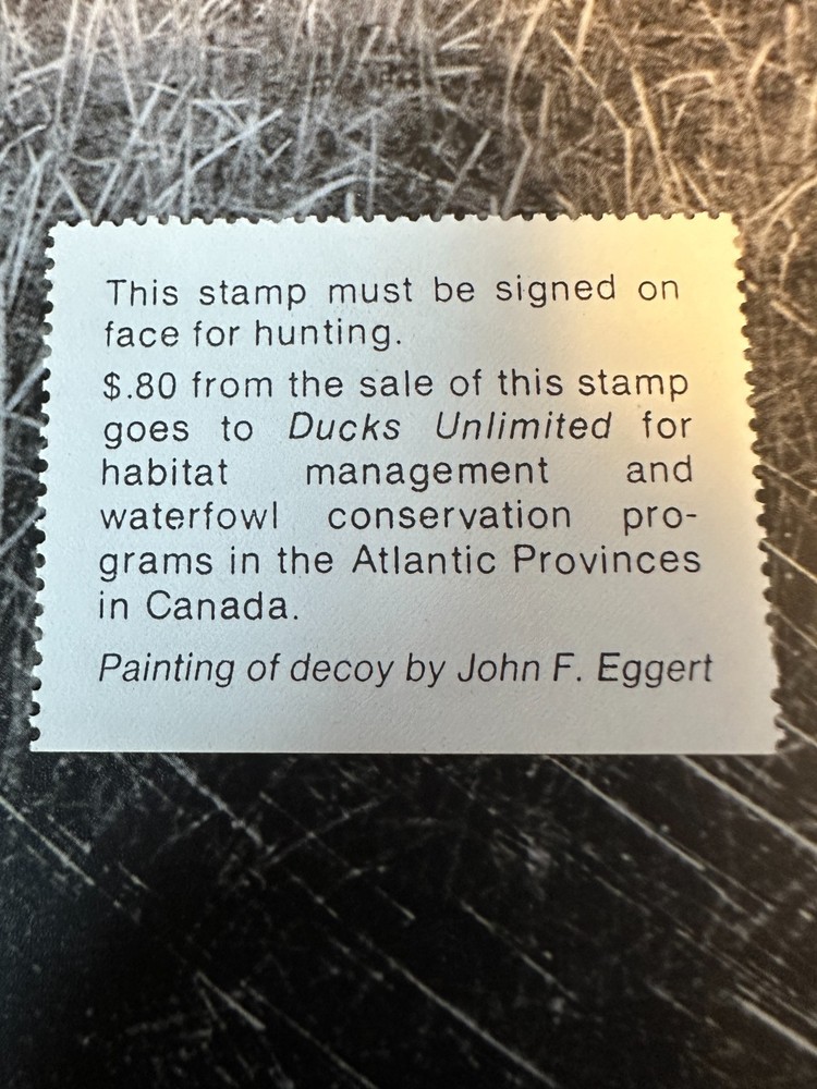 1982 Massachusetts State Duck Stamp,