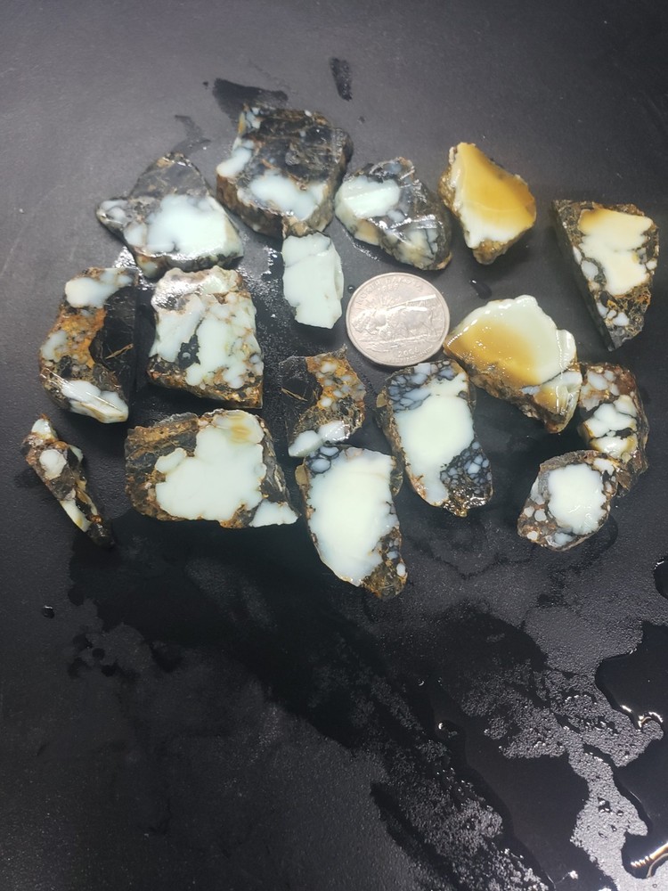 Aloe Variscite Slabs 1/4 lb