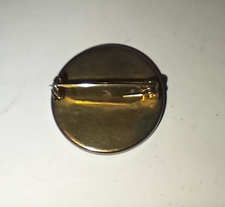 Vtg Warwick Castle England Pin!