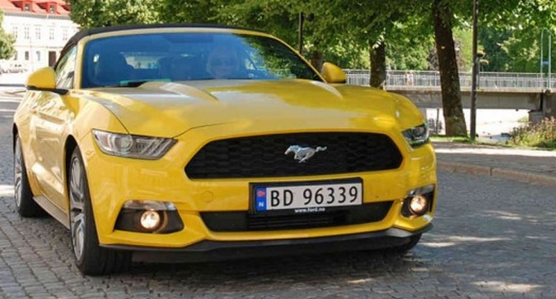 Norway + Swiss Plate Number Plate Custom Text Customized