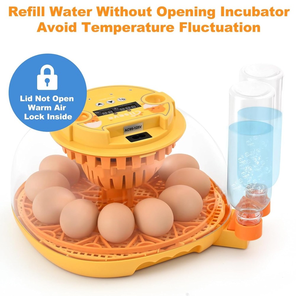 Egg Incubator for Hatching Chicks, Automatic Egg Turner Holds 12 Eggs, Smart Inc