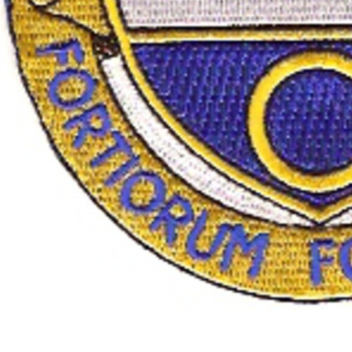 365th Infantry Regiment Patch