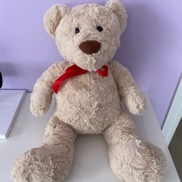 Classic Beige Teddy Bear Pre-Owned (12 inches)