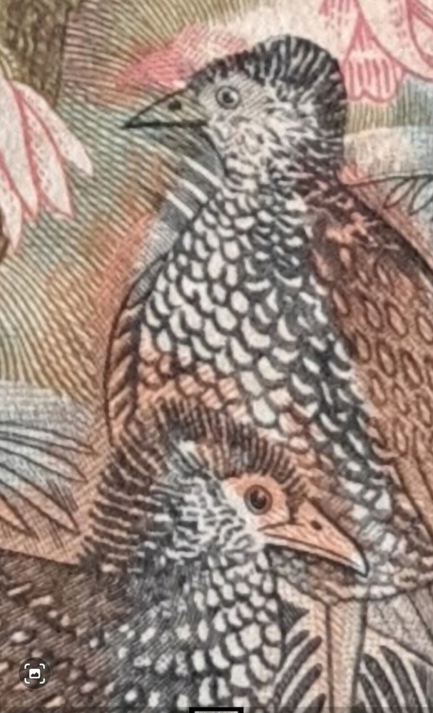 Sri Lanka Error Banknotes 1979 Bird 50R