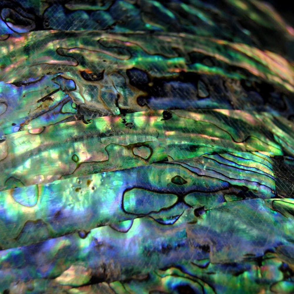 Abalone Shell Knife Handle Acrylic Scale Slabs Material DIY Making Knives Plate