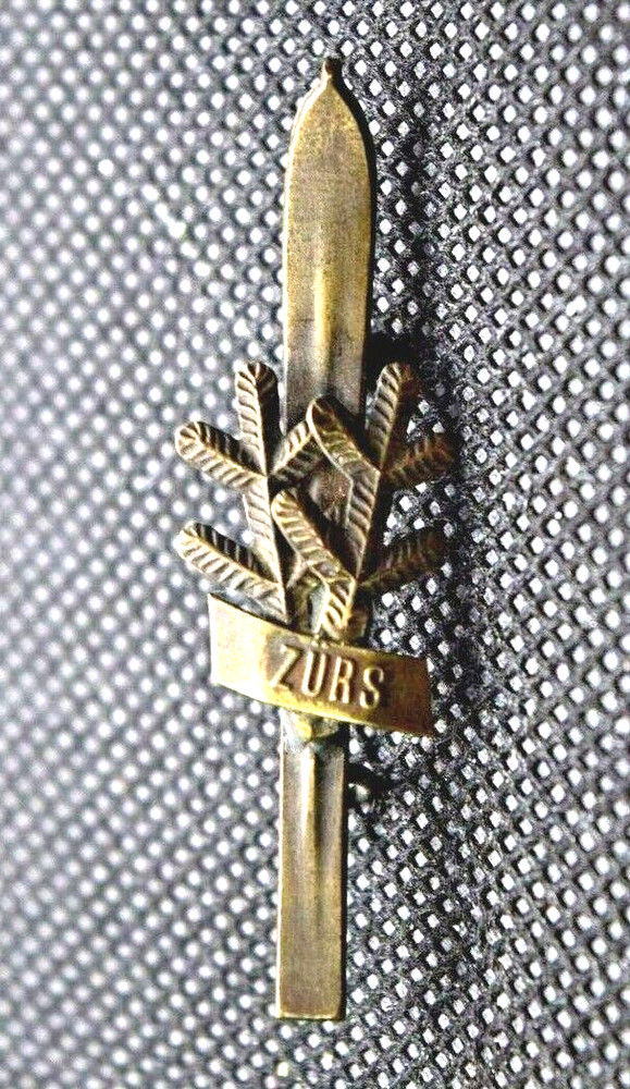 Zurs Ski Resort Austria Ski with Pine Branches Ski Pin