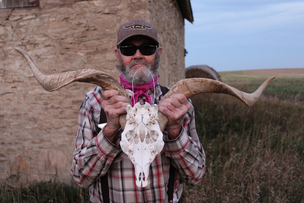 Goat Head Skull Horns