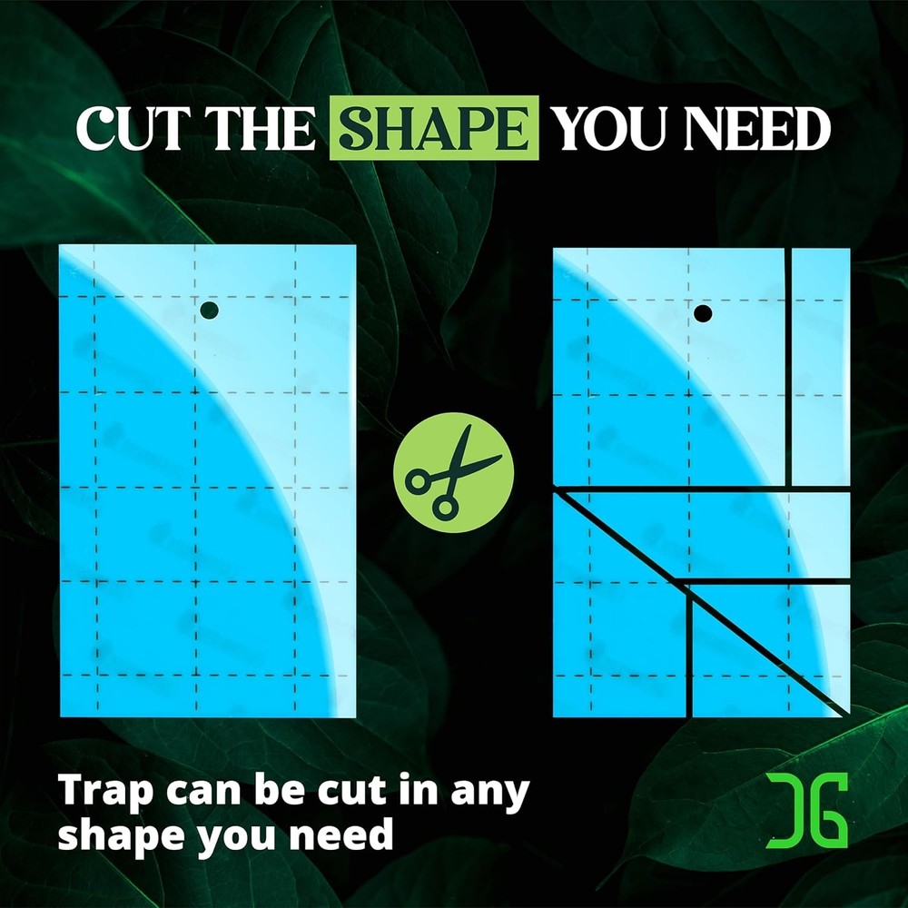 Catchmaster GRO Blue Regular Double Sided Sticky Traps