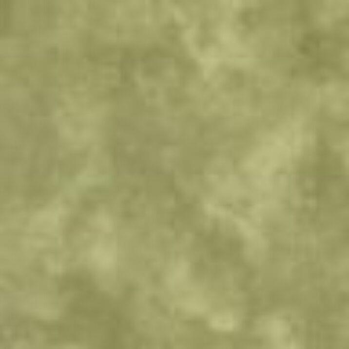 Moda Marbles Fabric  ~   1/2 yard ~ Thyme # 9881 45