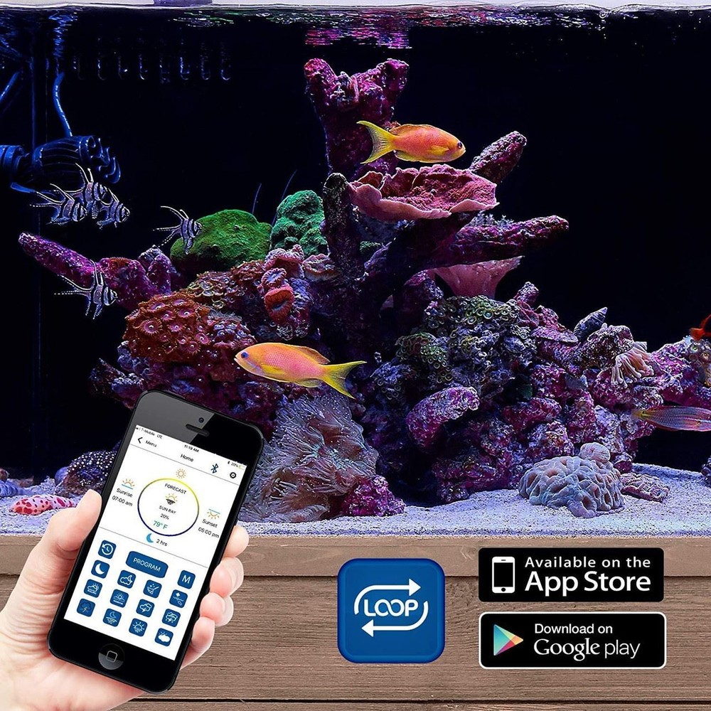 (24"-36") Orbit Marine LED Light w/Mini Bluetooth LOOP App Control (4201) - Curr