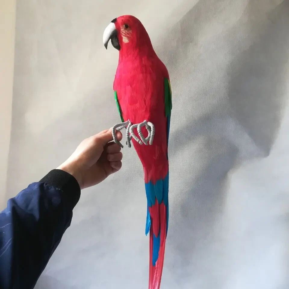 big simulation foam&feather red&blue parrot model bird gift about 60cm