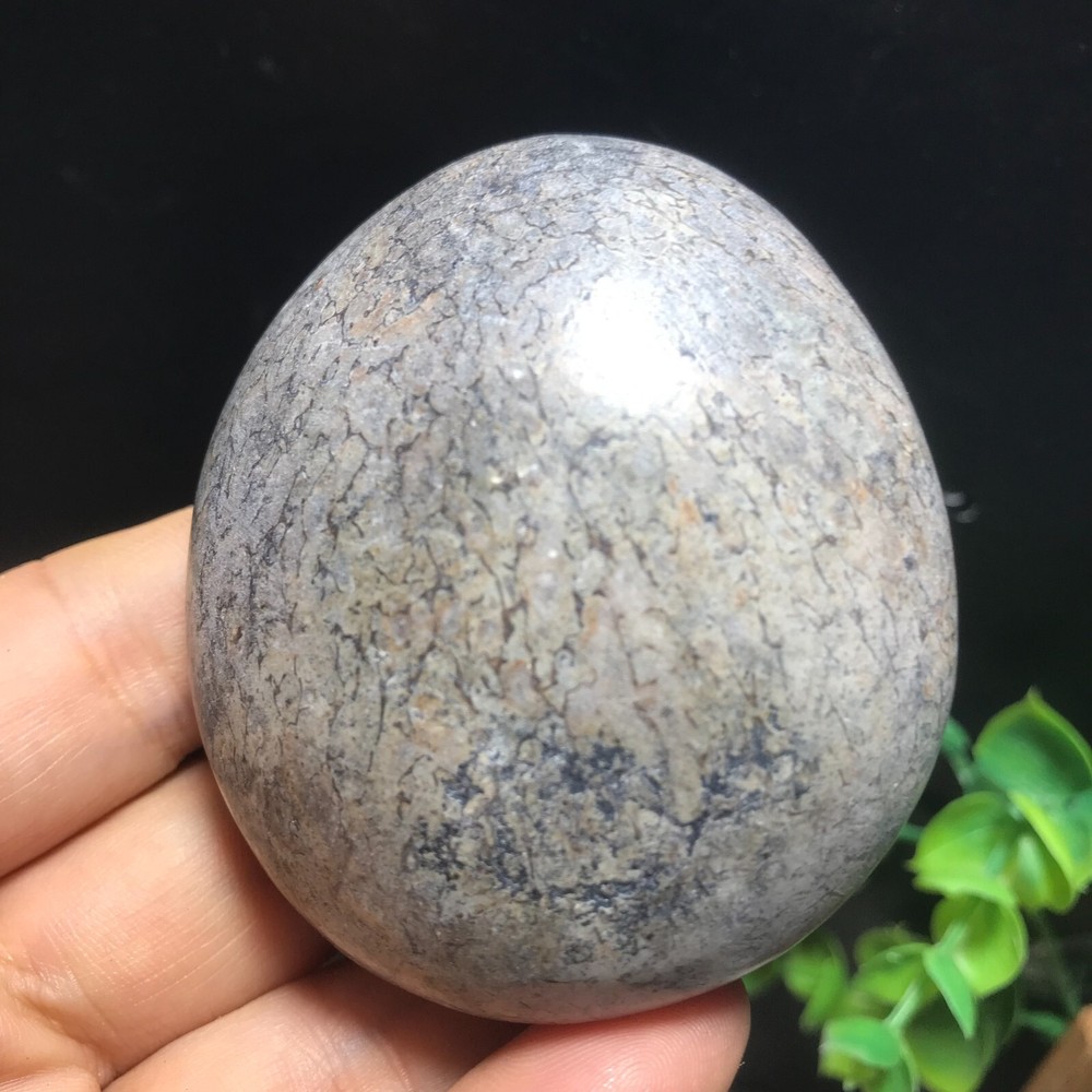 148g polished dinosaur bone specimen Madagascar 10