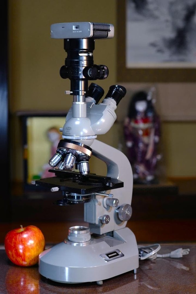 microscope antique collectible Olympus' "EHS" microscope