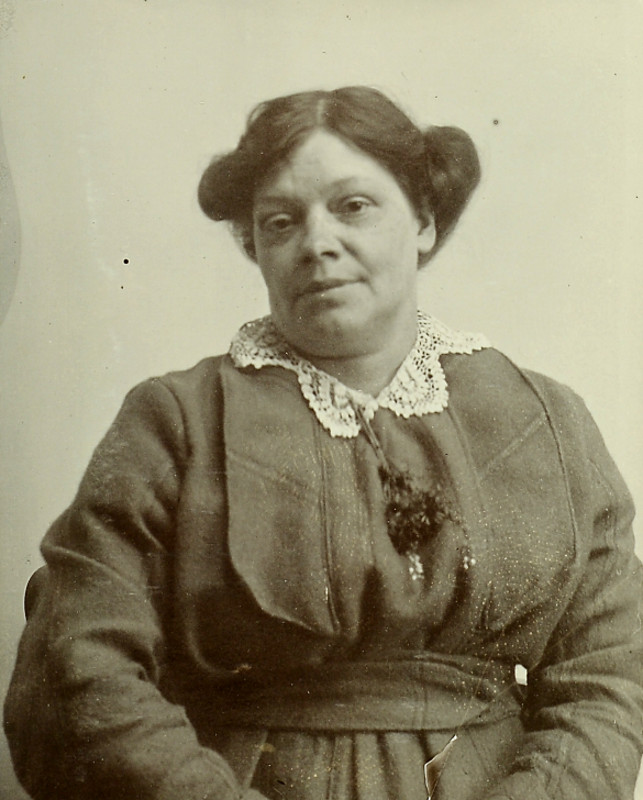 Family Tree Generator Creator Software - Genealogy USB Maker Worldwide Postage