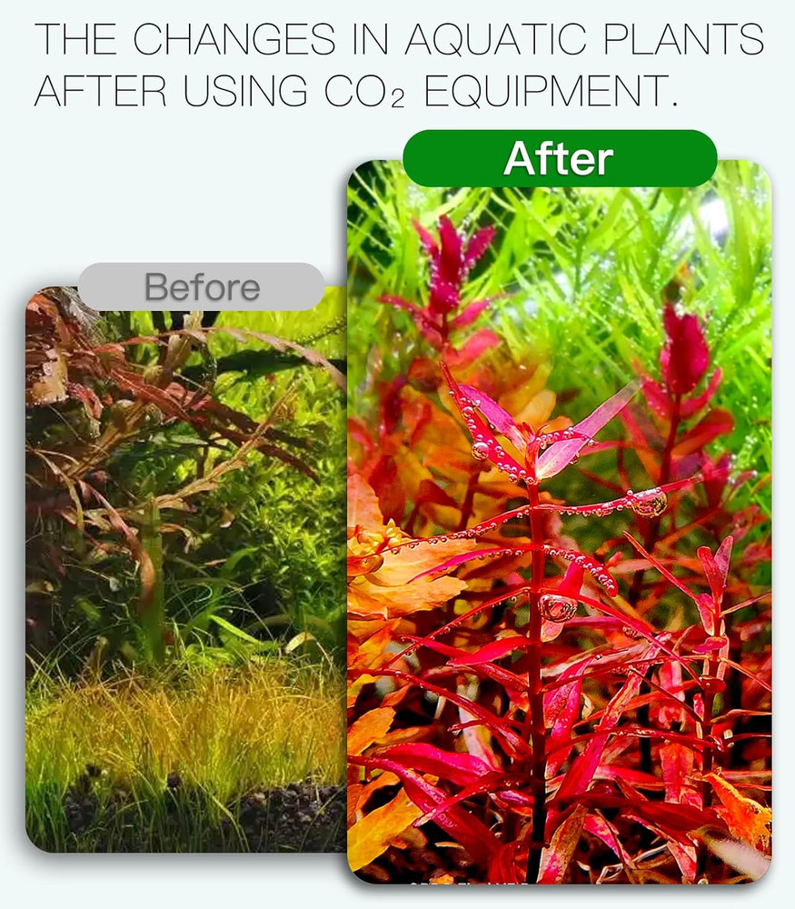 Aquarium CO2 Generator Kit Double Pressurization Enhanced Version, G700S