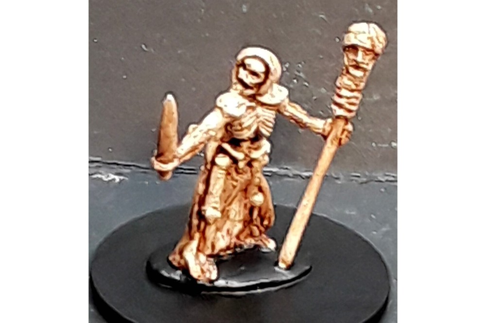 15mm Fantasy Skeleton Wizard #2 (1 figure)